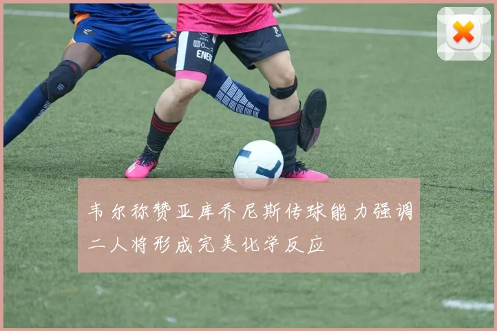 韦尔称赞亚库乔尼斯传球能力强调二人将形成完美化学反应