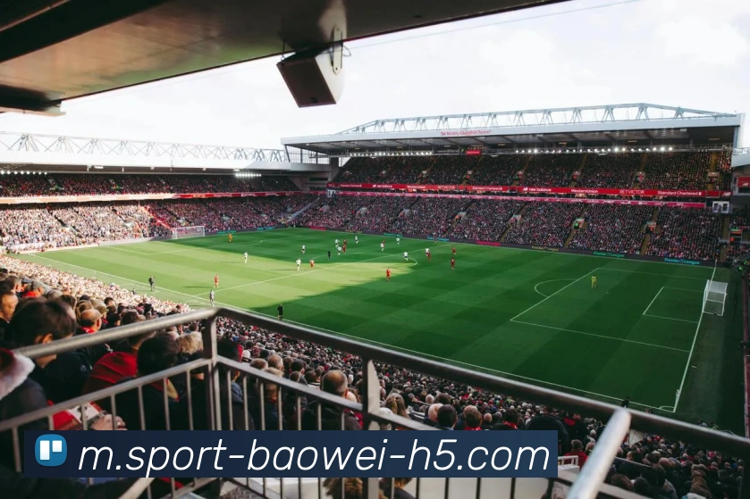 宝威体育发展历程